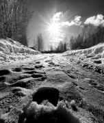 ����� 2011 2 036 copy fhdr copy