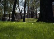 � ������������ ����