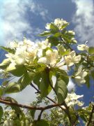 ������� �����