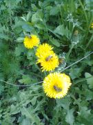 A ����� ����� ��!!!