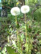 �������� ���� � �� �����.)