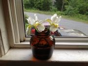 ������� ��� �� ����� ��� �������� ������ ����, ��� ��� ����:))  