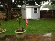 ������ � �����