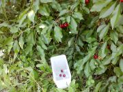 ������ 2012