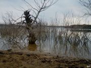 �������� ������