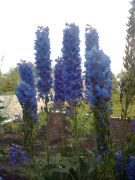 ��������� �����