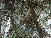 ����� �, �����!