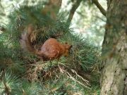 ������������