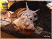 DSCF3462 - 