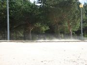 IMG 6130