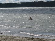 IMG 6147