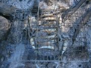 ������ ����, ������� � ������� �� �����