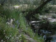 ��� �� �����