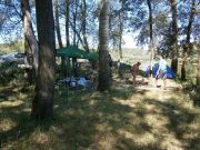 ��� ������