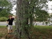 �������� �����. �������, ���� ��������� �������:)