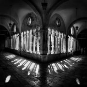 ������� ����