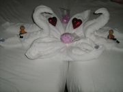 IMG 0106