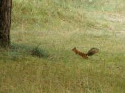 � ������