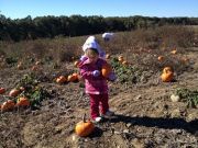 �������� �����:)