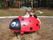 ���������, ��� ��� ���� ��������� � �������:)