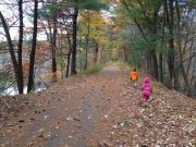 ����� ����� ������������ �������� � ������� �������� �� ���