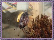 DSCF4391 - 