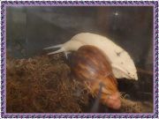 DSCF4345 - 