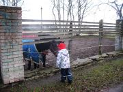 Ippodrom 25.12.2012 3