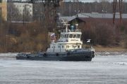IMG 6681