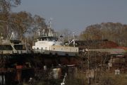 IMG 7419