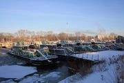 IMG 0981