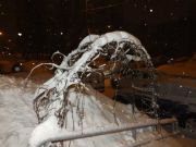 DSCF4983 - 