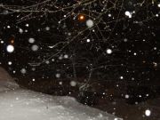 DSCF4989 - 