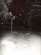 DSCF4998 - 