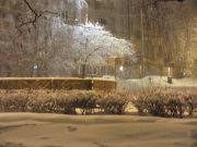 DSCF5015 - 