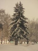 DSCF5024 - 