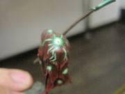 IMG 4327