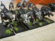 IMG 4328