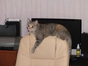 DSCF0267