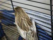 IMG 3479