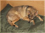 DSCF5268 - 