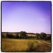 ������� ����