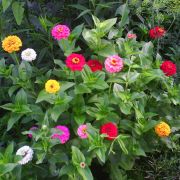 ��������� ��������