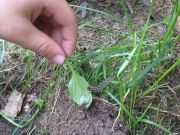 �������� ������� ��������� ��������