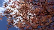 IMG 20130512 130440