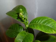 P1020382