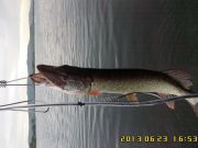 IMG00119
