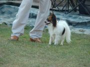 DSC00416