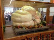 IMG 4711