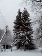 IMG 20131127 095457